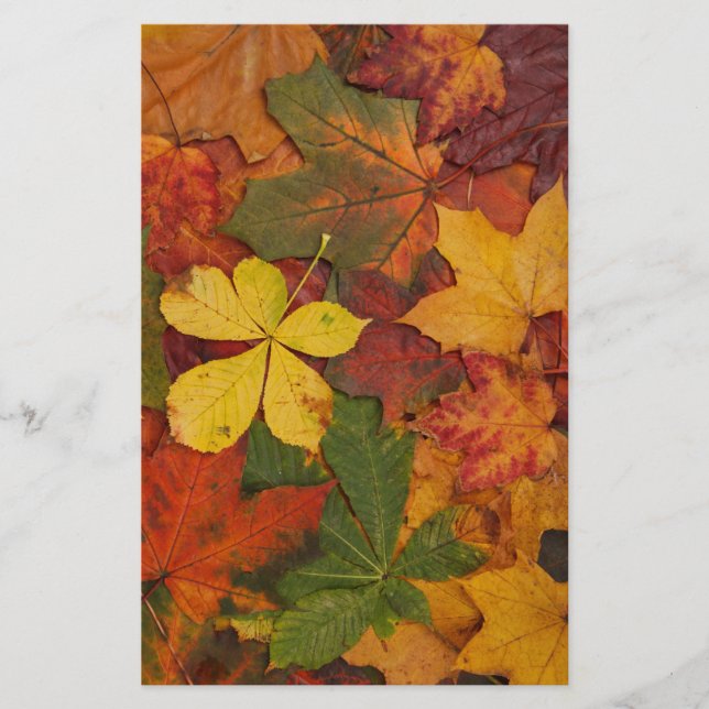 Fall Foliage Leaves in Neutral Colors Stationery (Front)