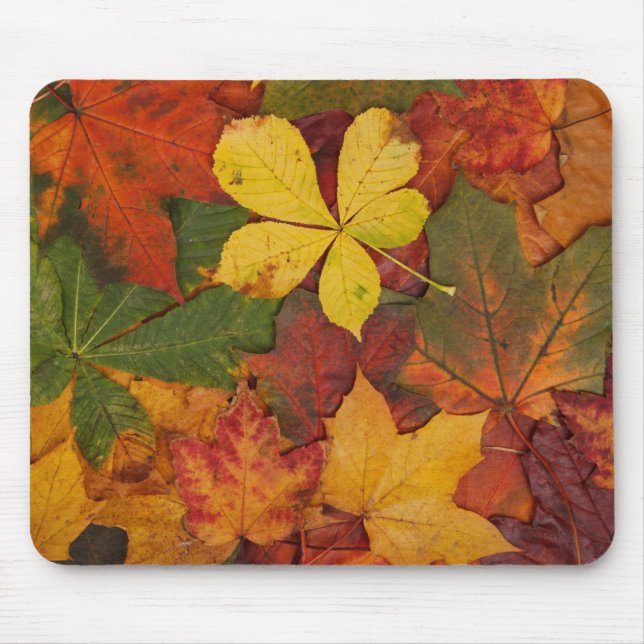 Fall Foliage Mouse Pad (Front)