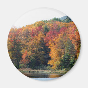 Fall Foliage Pond Nature Photography Magnet