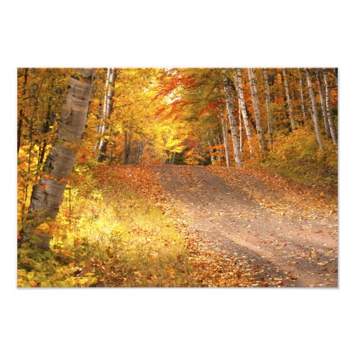 Fall Foliage Rural Road UP Michigan Photography Photo Print