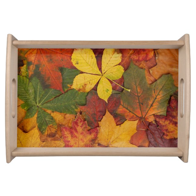 Fall Foliage Serving Tray (Front)