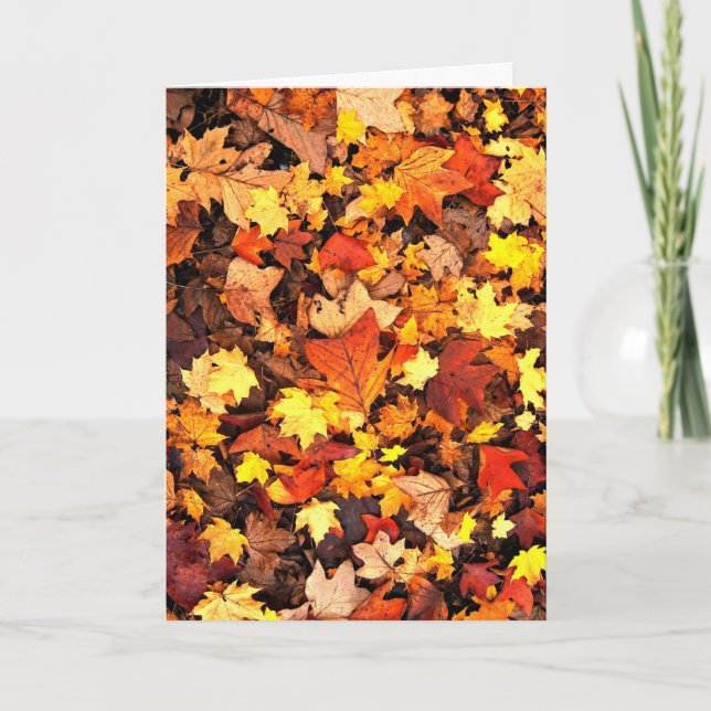 Fall foliage, the Colors of Autumn Card (Front)