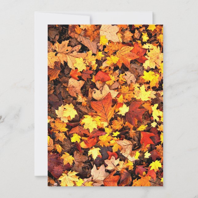 Fall foliage, the Colors of Autumn Card (Front)