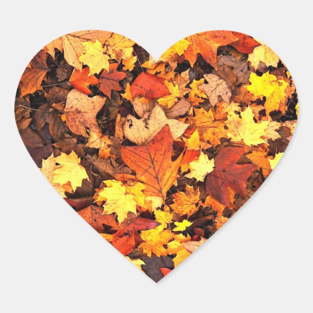 Fall foliage, the Colors of Autumn Heart Sticker (Front)