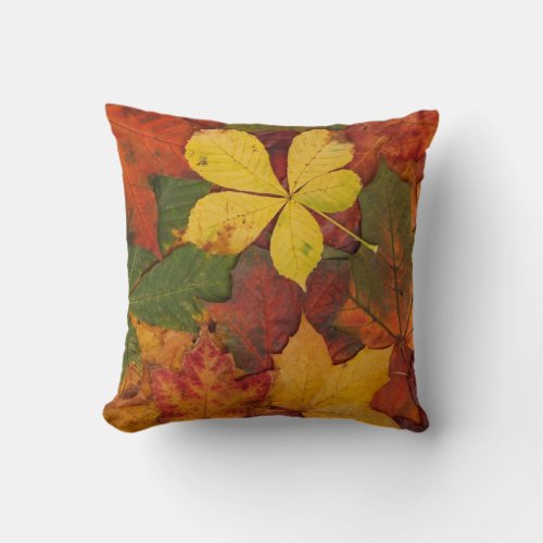 Fall Foliage Throw Pillow