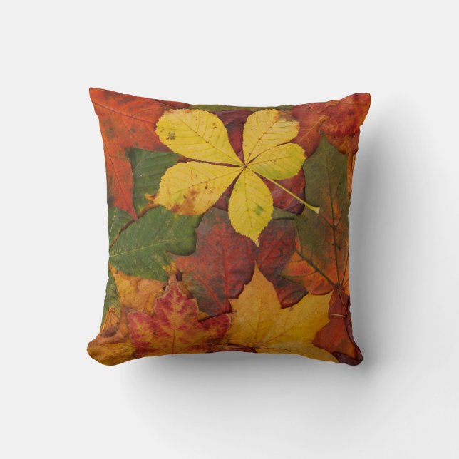 Fall Foliage Throw Pillow (Front)