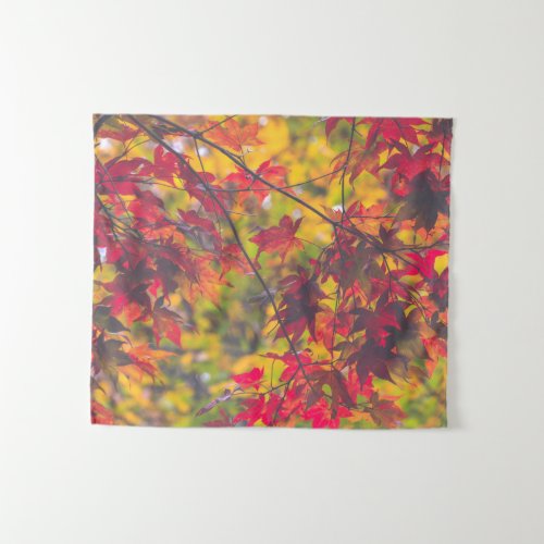 Fall Foliage Trees Nature SMALL Tapestry