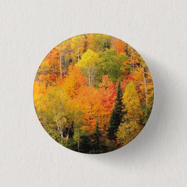 Fall Foliage Valley Pinback Button (Front)