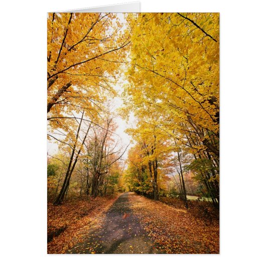 Fall Foliage Walking Path Cards (Front)
