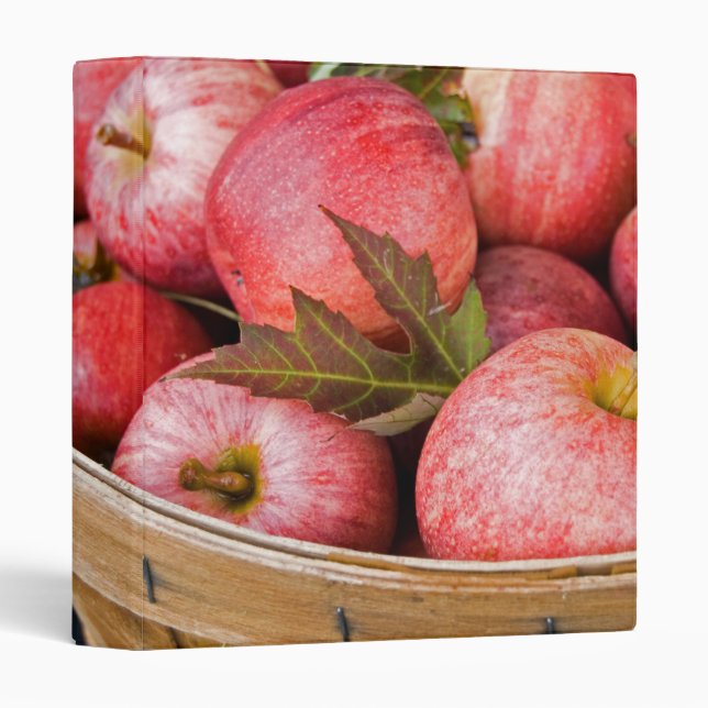 Fall Food Binder (Front/Spine)