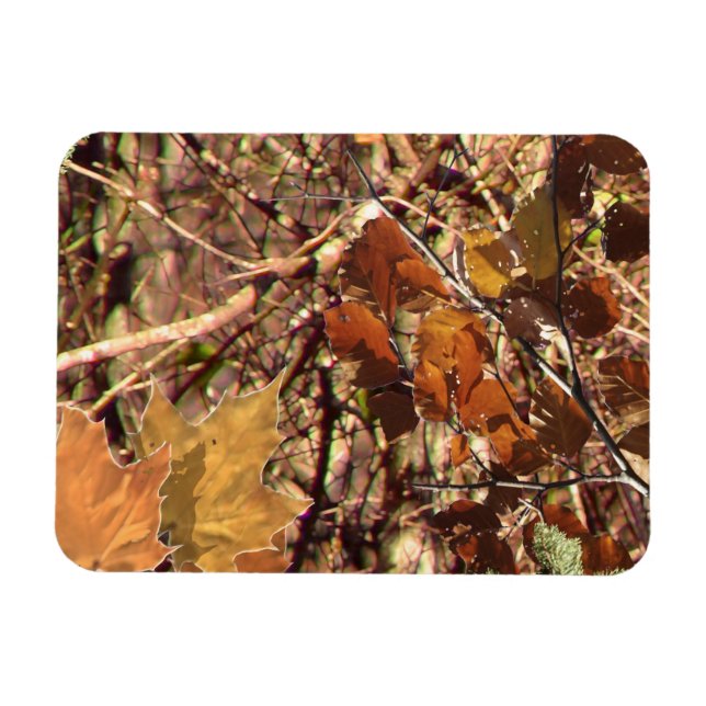 Fall Forest Bush Camouflage Magnet (Horizontal)