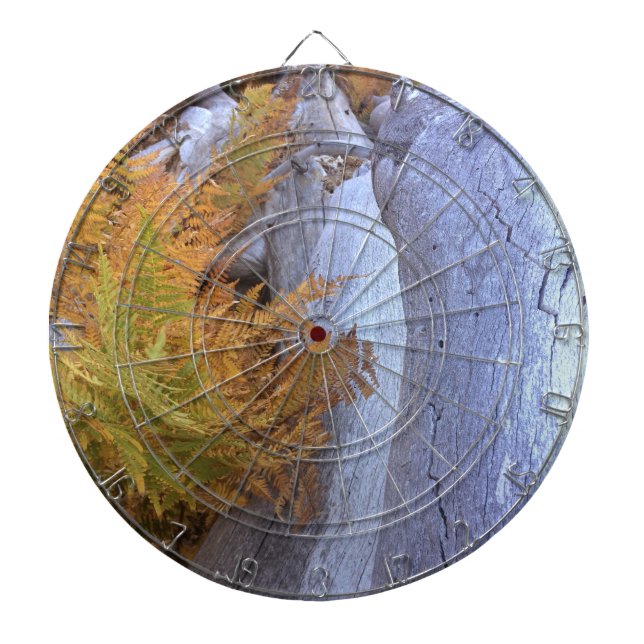 Fall Forest Dart Board (Front)