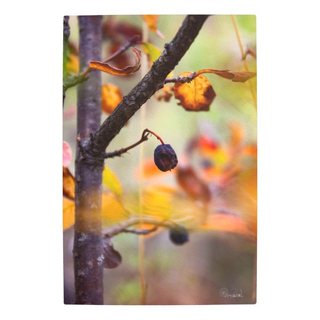 Fall Forest Dreams – Boho Botanical Fantasy Metal Print (Front)