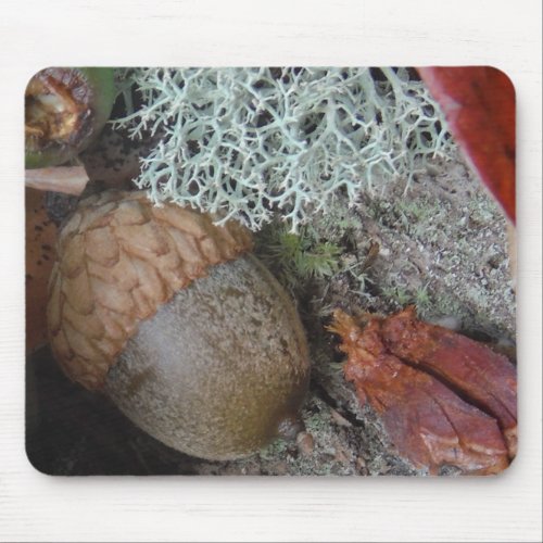 Fall Forest floor Acorns mushrooms and moss Mouse Pad