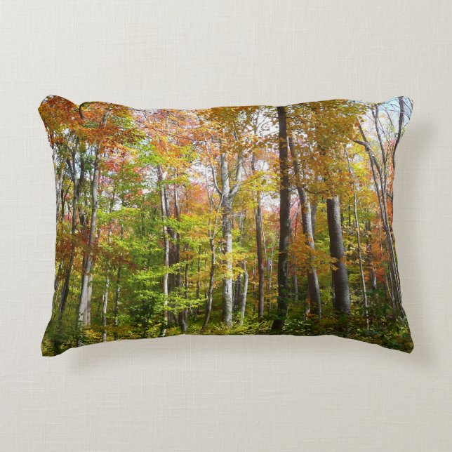 Fall Forest I Autumn Landscape Photography Accent Pillow (Front)