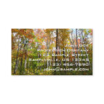 Fall Forest I Autumn Landscape Photography Business Card