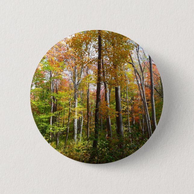 Fall Forest I Autumn Landscape Photography Button (Front)