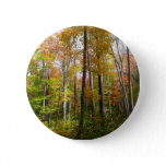 Fall Forest I Autumn Landscape Photography Button