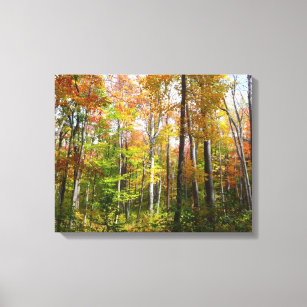 Fall Forest I Autumn Landscape Photography Canvas Print