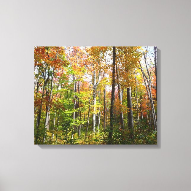 Fall Forest I Autumn Landscape Photography Canvas Print (Front)