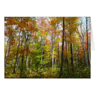 Fall Forest I Autumn Landscape Photography Cards