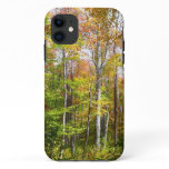 Fall Forest I Autumn Landscape Photography iPhone 11 Case