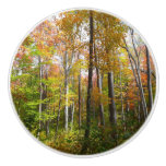 Fall Forest I Autumn Landscape Photography Ceramic Knob