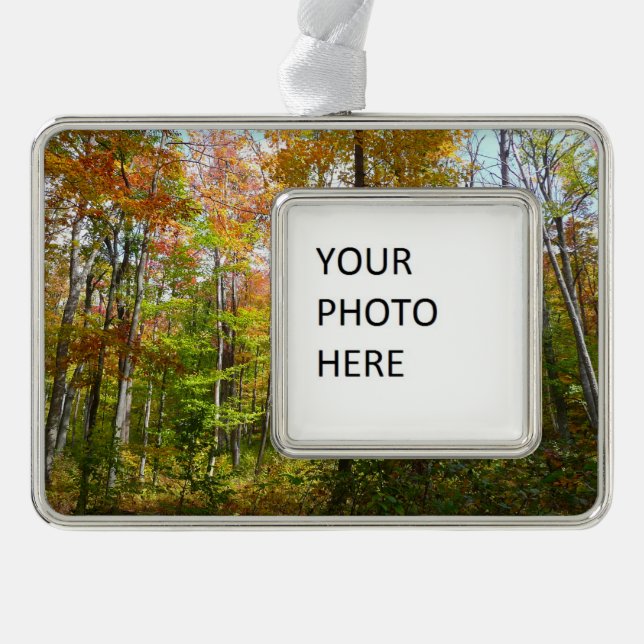 Fall Forest I Autumn Landscape Photography Christmas Ornament (Front)