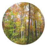 Fall Forest I Autumn Landscape Photography Classic Round Sticker