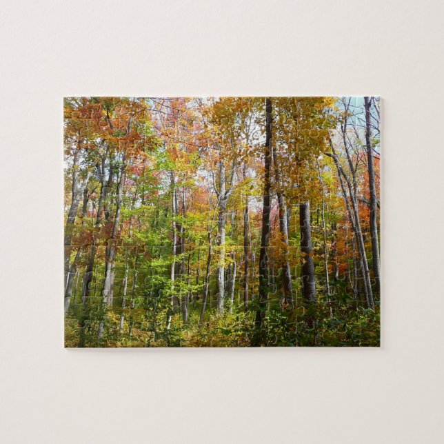 Fall Forest I Autumn Landscape Photography Jigsaw Puzzle (Horizontal)