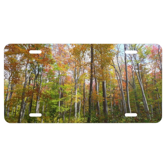 Fall Forest I Autumn Landscape Photography License Plate (Front)