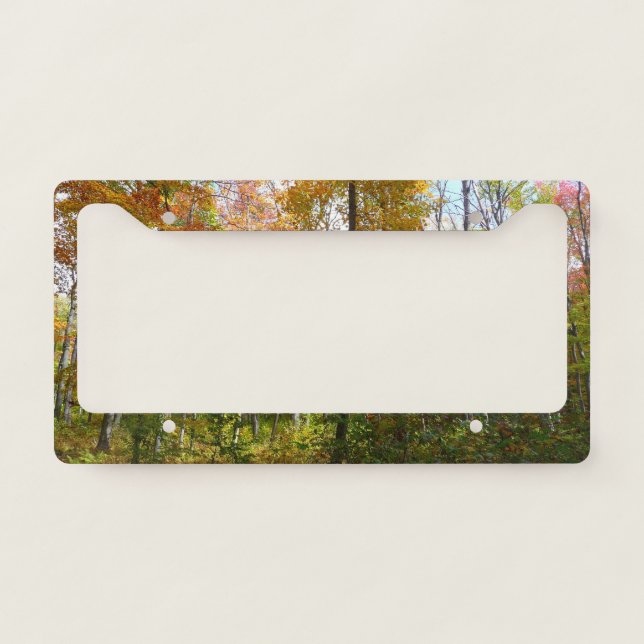 Fall Forest I Autumn Landscape Photography License Plate Frame (Front)