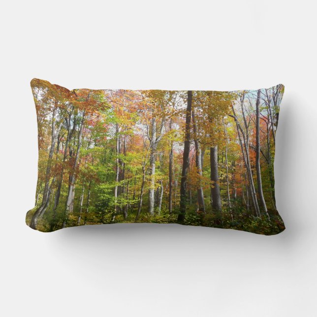 Fall Forest I Autumn Landscape Photography Lumbar Pillow (Front)