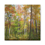 Fall Forest I Autumn Landscape Photography Magnet