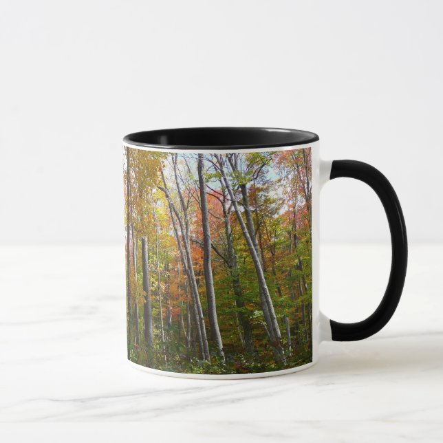 Fall Forest I Autumn Landscape Photography Mug (Right)