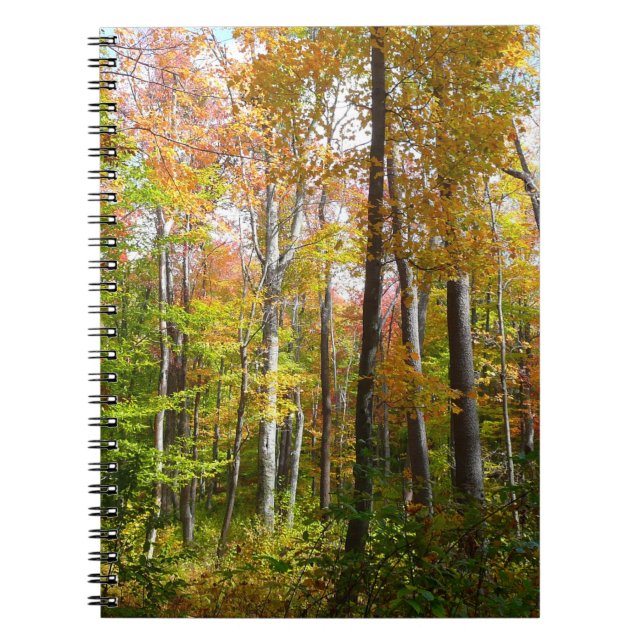 Fall Forest I Autumn Landscape Photography Notebook (Front)