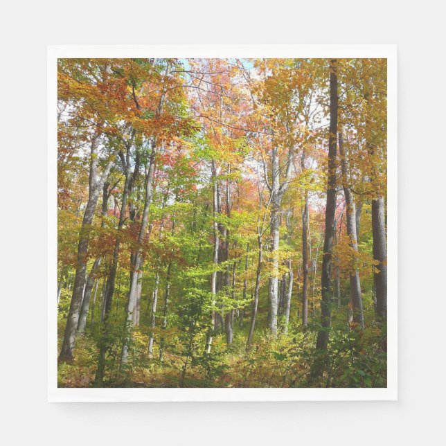 Fall Forest I Autumn Landscape Photography Paper Napkins (Front)