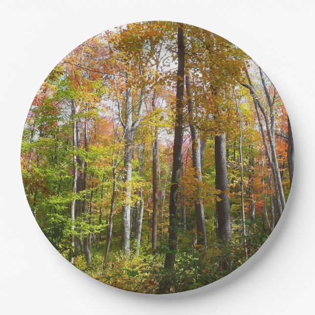 Fall Forest I Autumn Landscape Photography Paper Plates (Front)