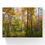 Fall Forest I Autumn Landscape Photography Paperweight