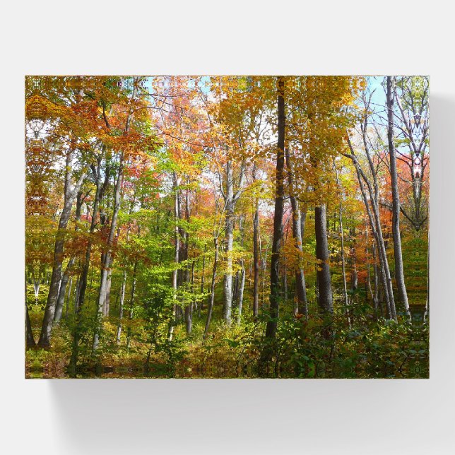 Fall Forest I Autumn Landscape Photography Paperweight (Front)