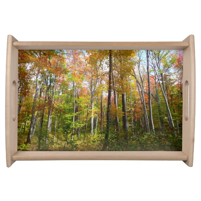 Fall Forest I Autumn Landscape Photography Serving Tray (Front)