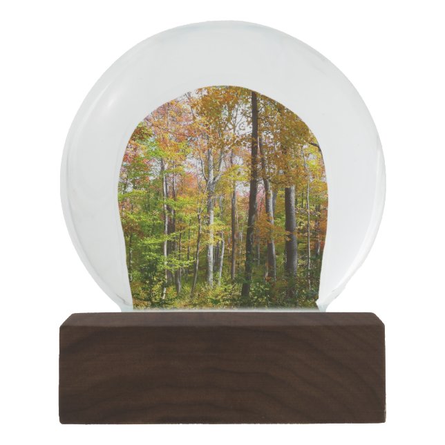 Fall Forest I Autumn Landscape Photography Snow Globe (Front)