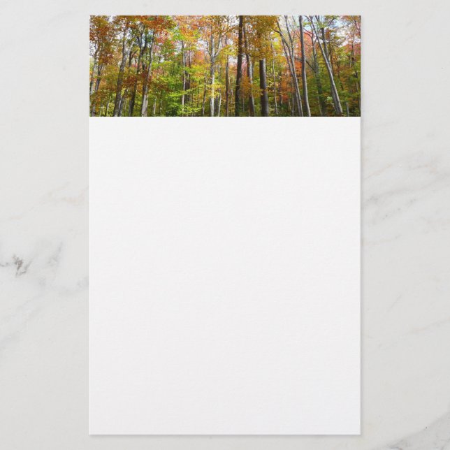 Fall Forest I Autumn Landscape Photography Stationery (Front)