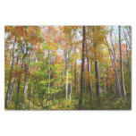 Fall Forest I Autumn Landscape Photography Tissue Paper