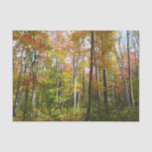 Fall Forest I Autumn Landscape Photography Tissue Paper