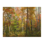 Fall Forest I Autumn Landscape Photography Wood Wall Decor