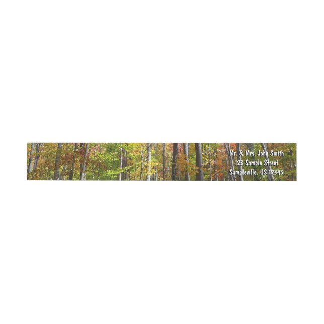 Fall Forest I Autumn Landscape Photography Wrap Around Label (Individual)
