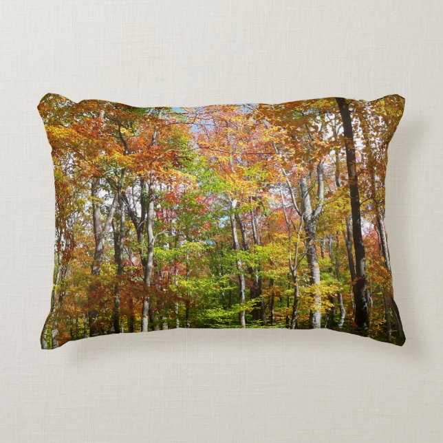 Fall Forest II Autumn Landscape Photography Accent Pillow (Front)