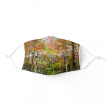 Fall Forest II Autumn Landscape Photography Adult Cloth Face Mask