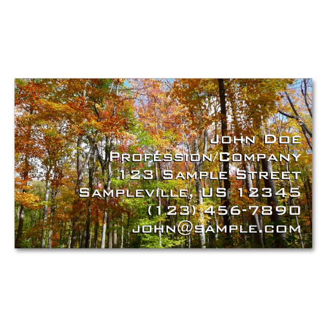 Fall Forest II Autumn Landscape Photography Business Card Magnet (Front)